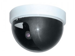 Купольная видеокамера Everfocus ED-100